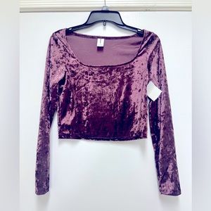 Nordstrom Abound Plum Purple Crushed Velvet Shimmery Crop Top